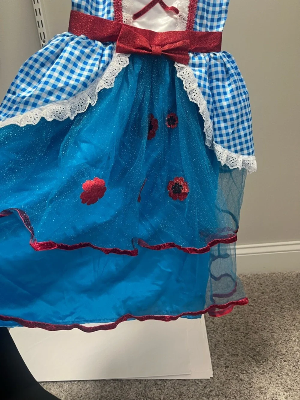 Rubie's Blue Gingham Princess Wizard of Oz Dress with Red Trim